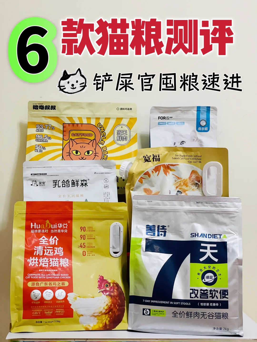 选对猫粮，养出健康小猪咪！