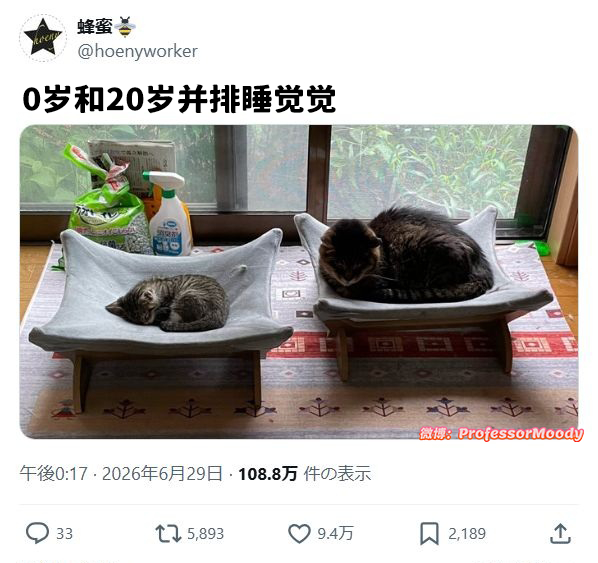 遗传睡姿meme
