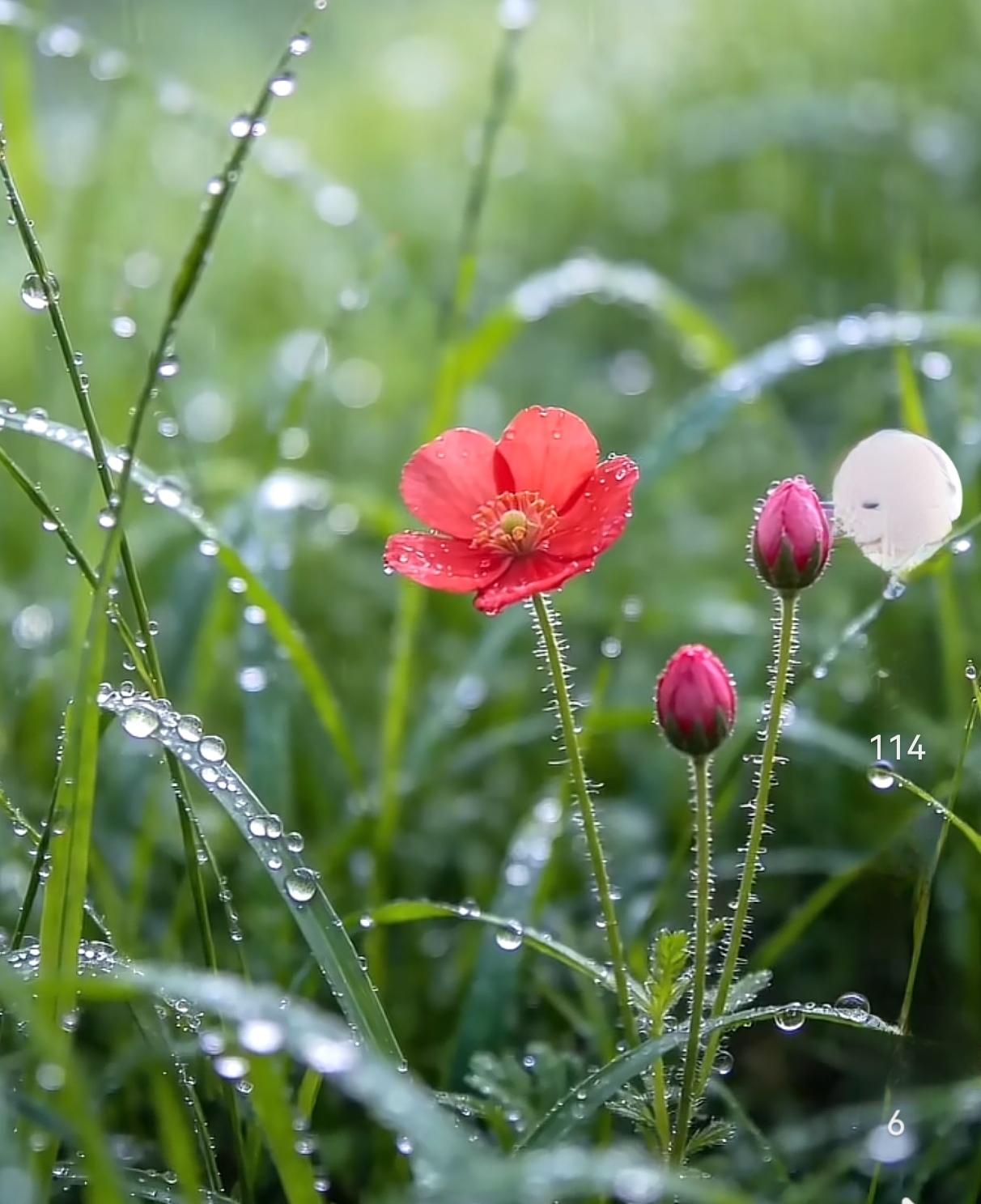 小心下午冲高回落！
   今天上午上证指数那叫一个高位震荡，收盘4048.64点