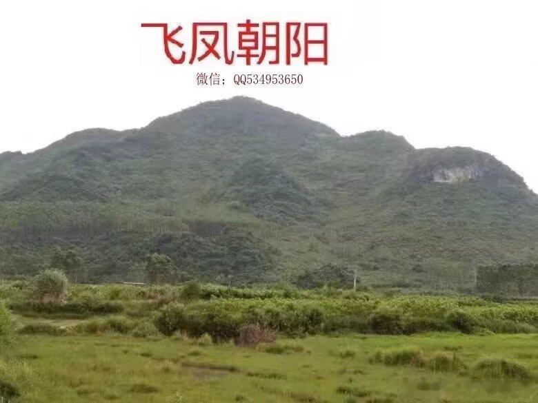 生气的功能是“行乎地中，发而生乎万物。”即运动变化于地（球）中的生气，发而产生世