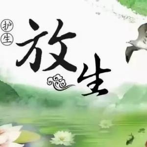 河北一辉风