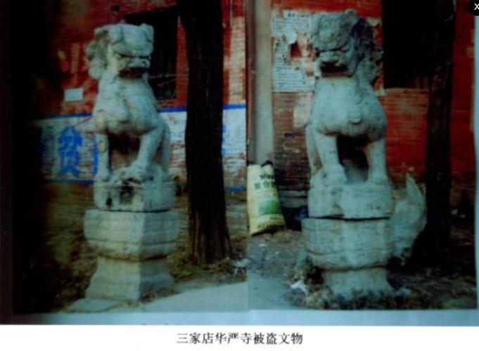 河南漯河临颍县华严寺遗址那对被盗17年的明代石狮，最近疑似现身郑州纪公庙后院。2