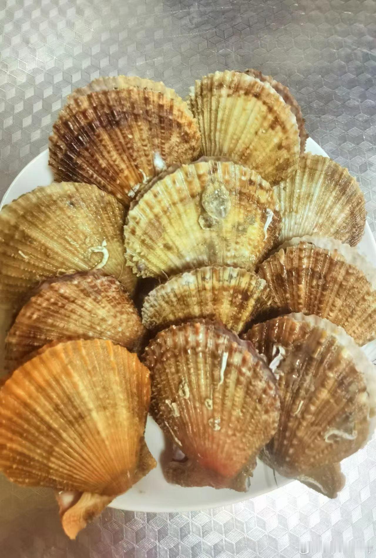 马上过年啦，蓝莓、生蚝、鲍鱼、海螺、扇贝、大礼包，都是鲜活产品，总有一款适合你，