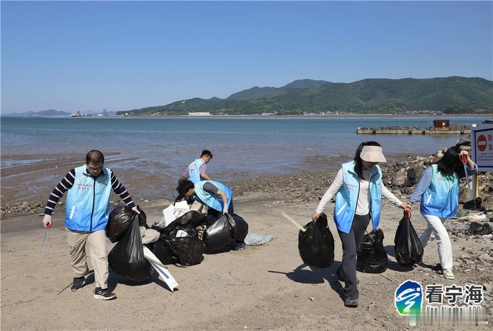宁波宁海志愿者守护候鸟回家路 “这些塑料垃圾对海鸟的危害极大，必须彻底清理干净。