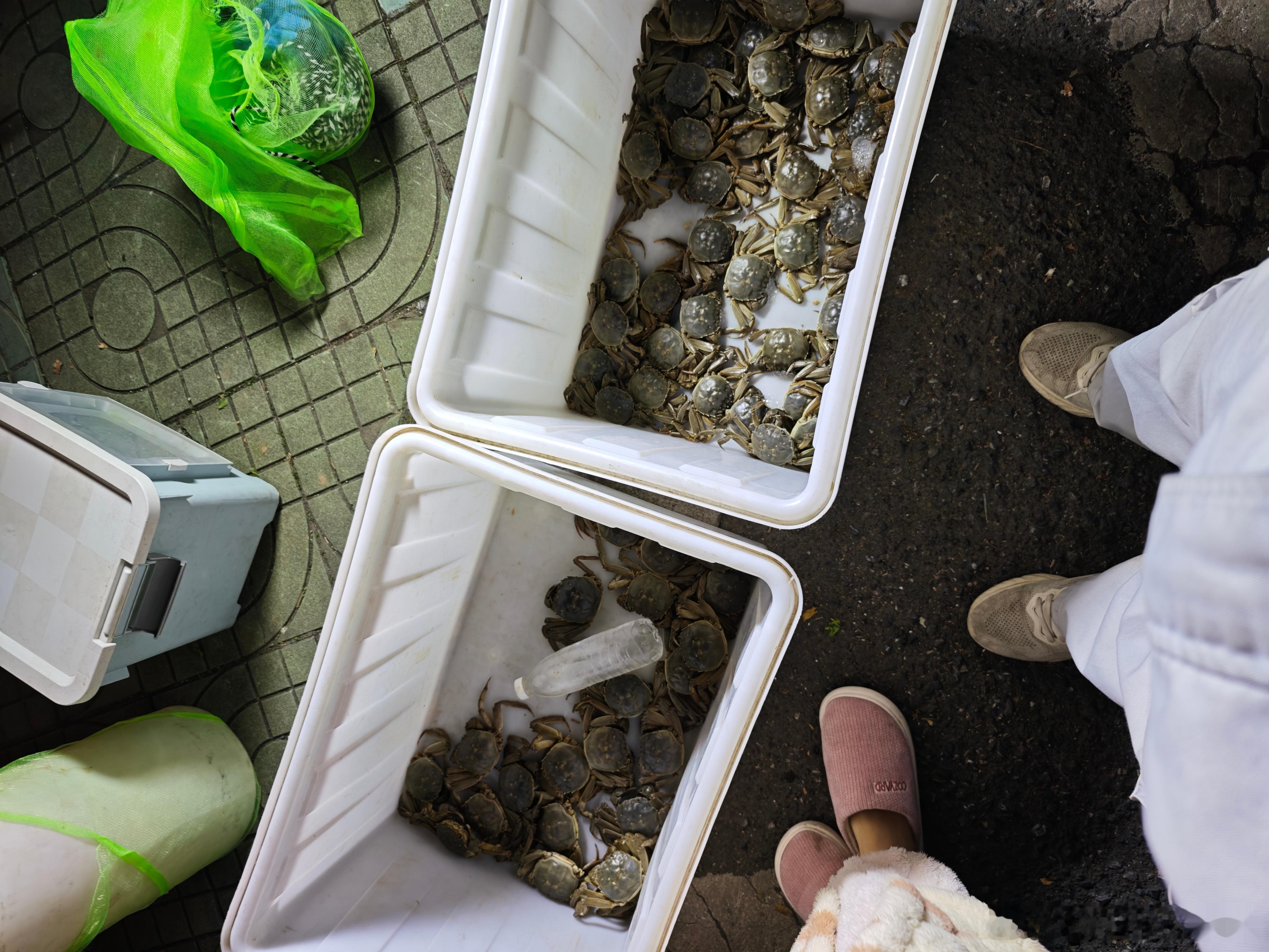 买螃蟹了。可惜家里的柿子吃光了。 不然螃蟹配柿子，赛过活神仙。 