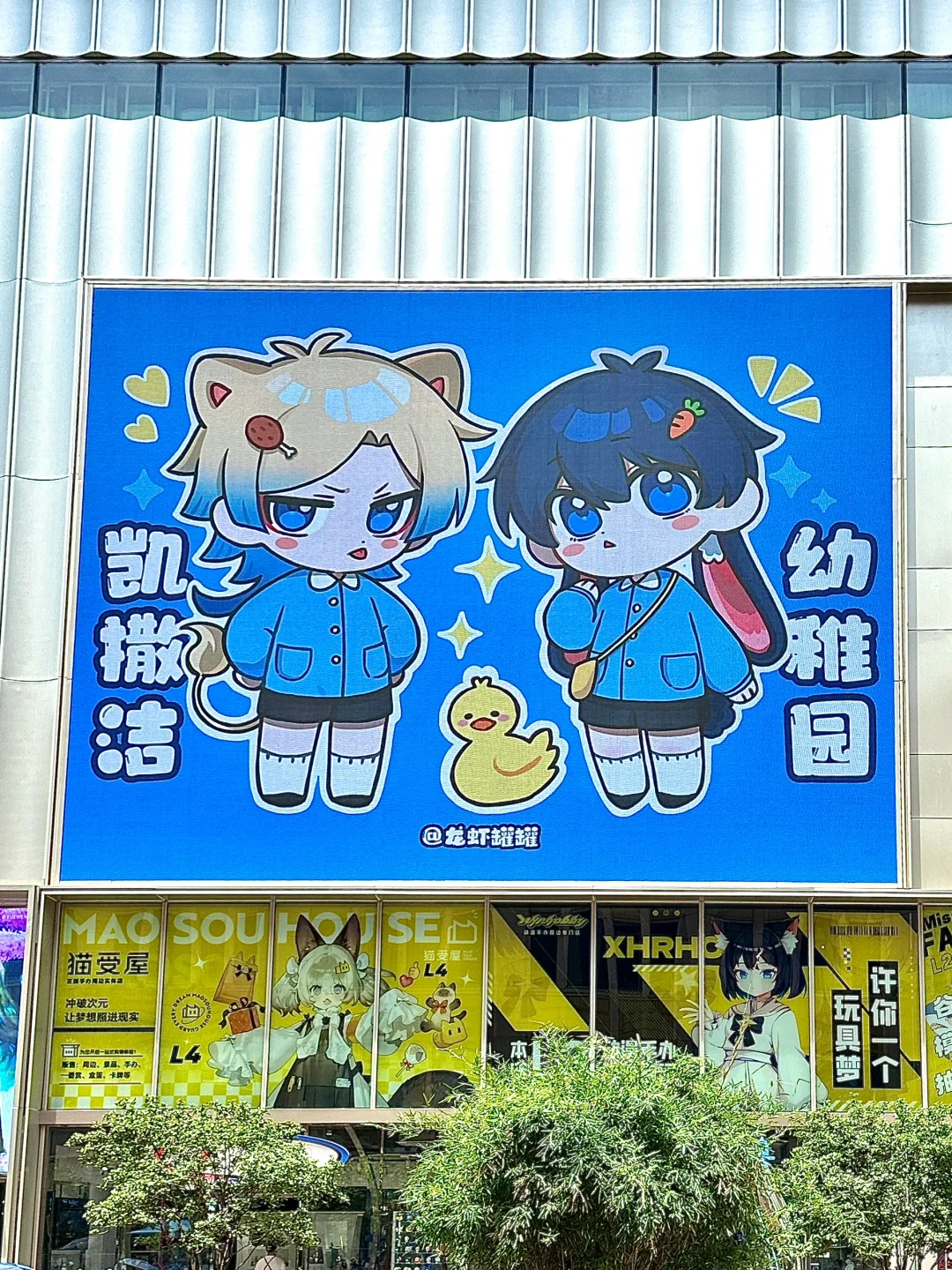 上海凯撒洁大屏！可爱的凯撒洁幼稚园来啦！