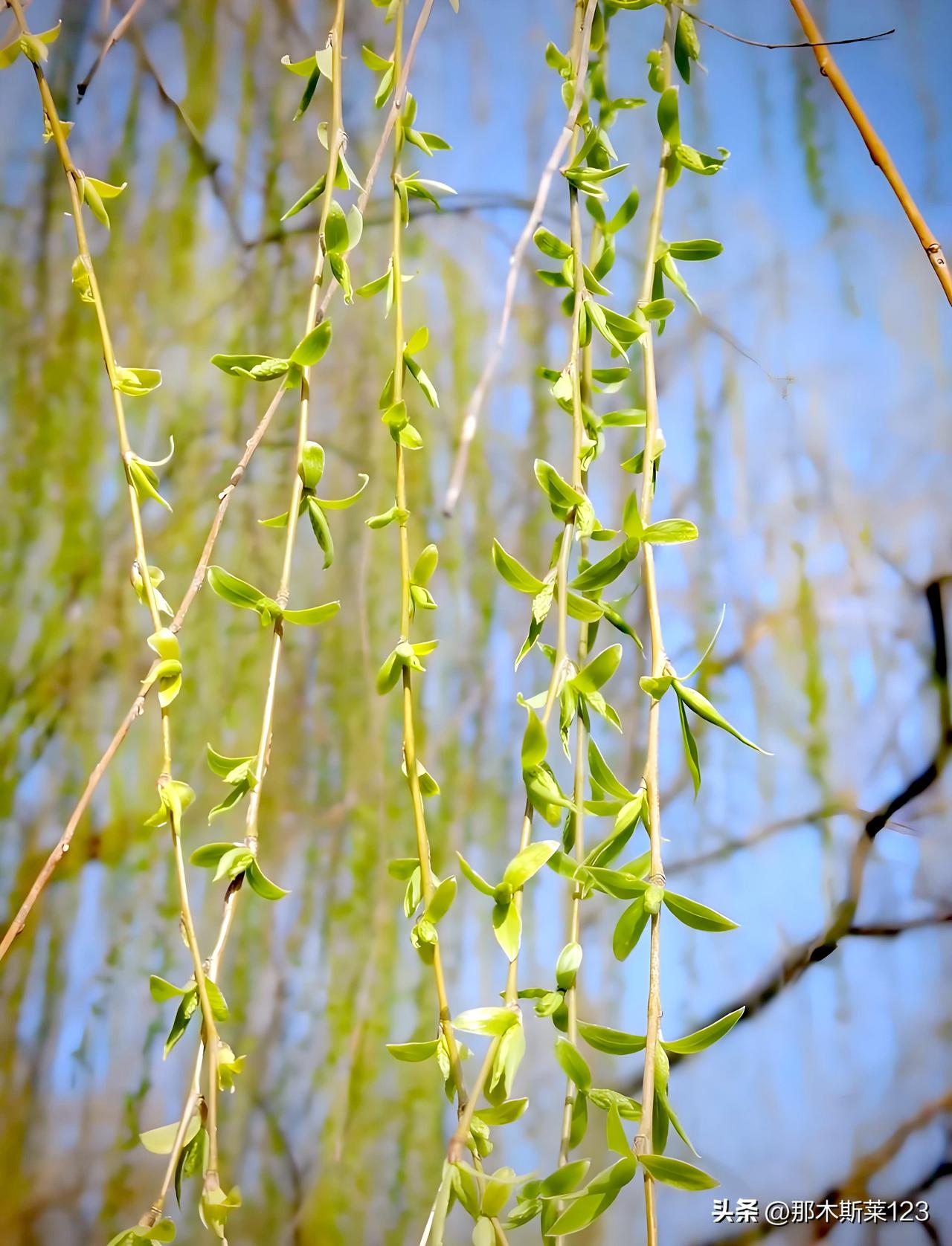 头条邀对
上联：出水娇荷寻夏雨，下联才友请

上联:出水娇荷寻夏雨(头条)
下联