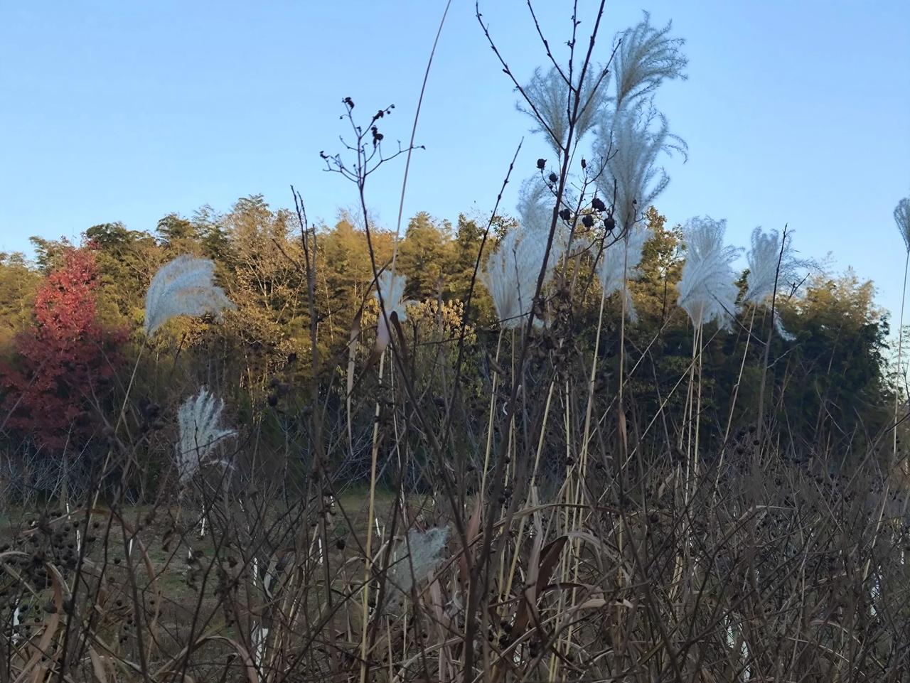 说过去，在棉花未普及之前，寻常百姓的冬衣多是粗布做的，称为“褐”。
褐衣单薄易冻