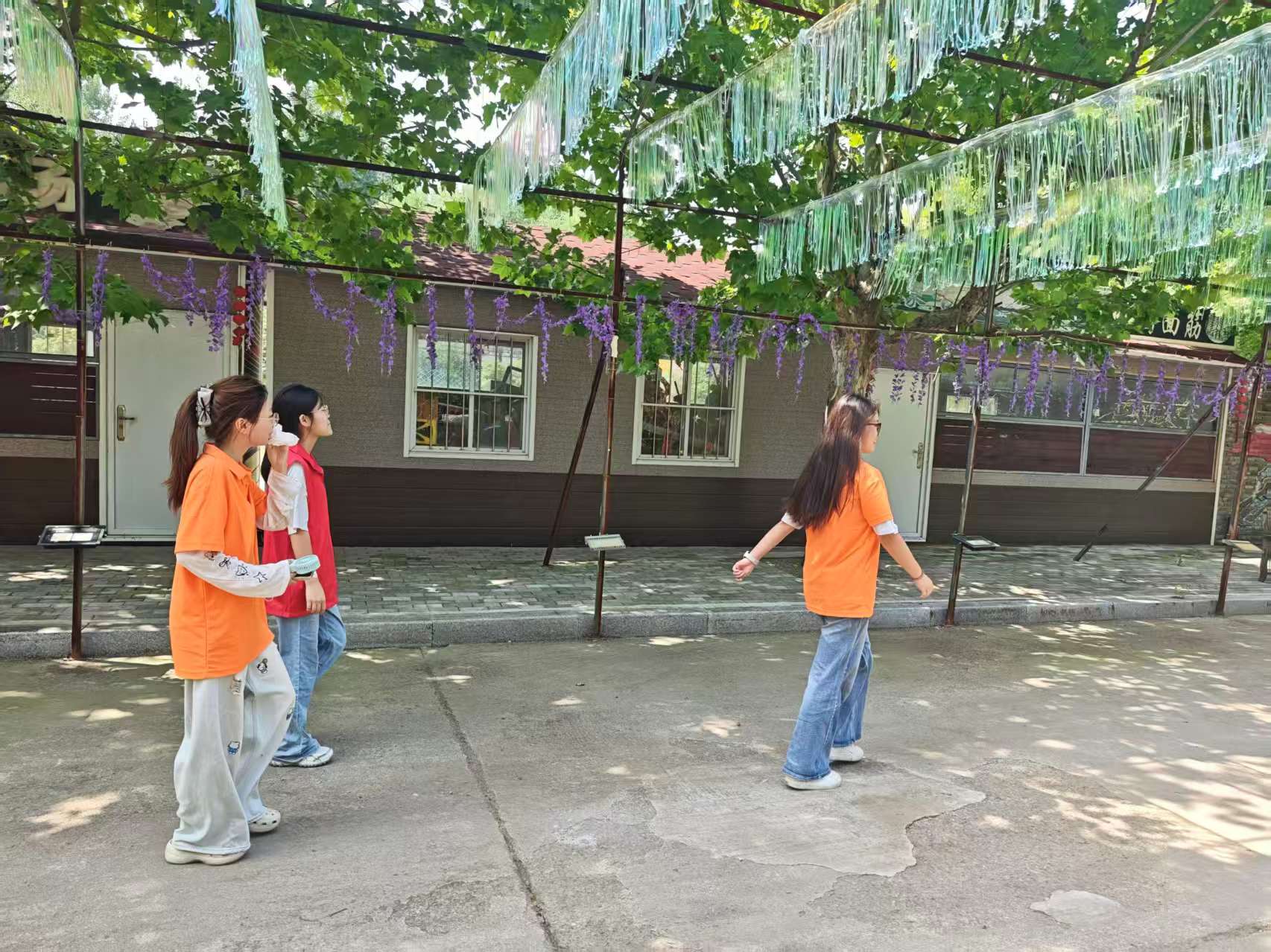 秦岭笑谈 扎根社区察民生，绿色实践悟初心曲阜师范大学暑假社会实践暑期社会实践三下