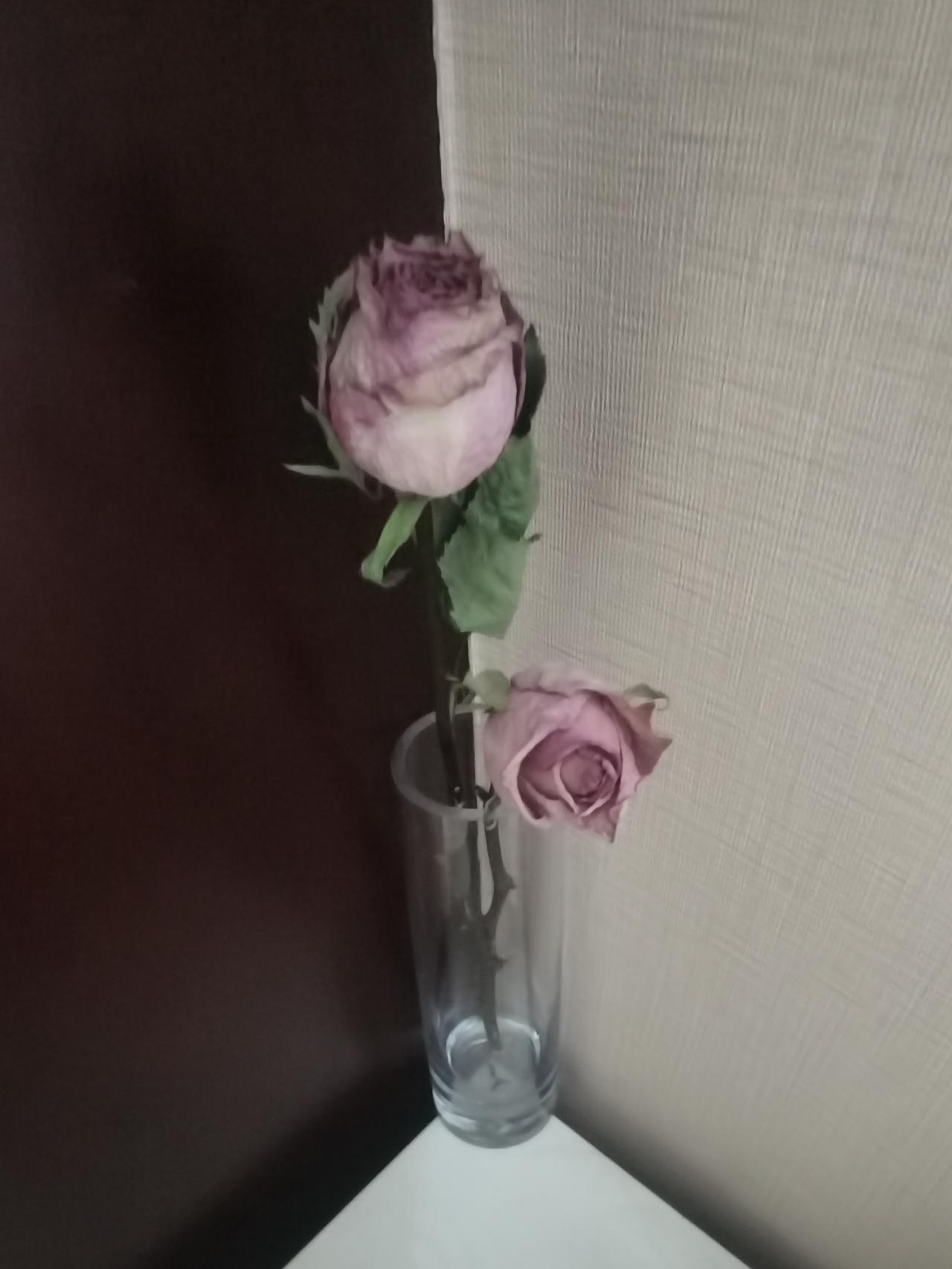 上午养老公寓小管家上门，问我要不要报名参加65周岁以上的免费体检，我告诉小管家表