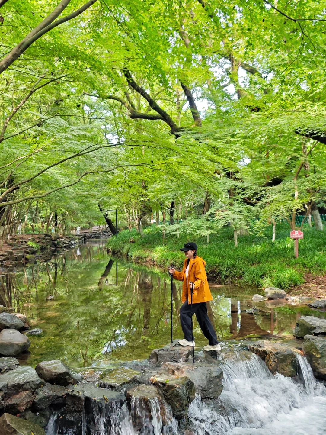杭州九溪徒步｜秋天就要去大自然吸氧🍃