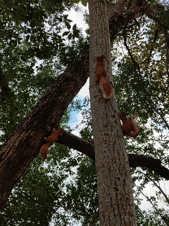 降薪/失业/找不到工作，别再为此焦虑和害怕