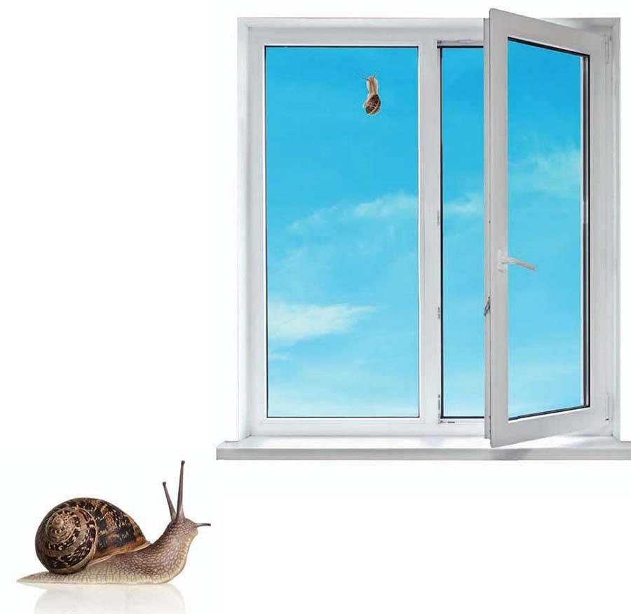 一只小蜗牛沿着90厘米高的窗户爬行。
如果这只蜗牛白天爬行11厘米，
晚上倒退6