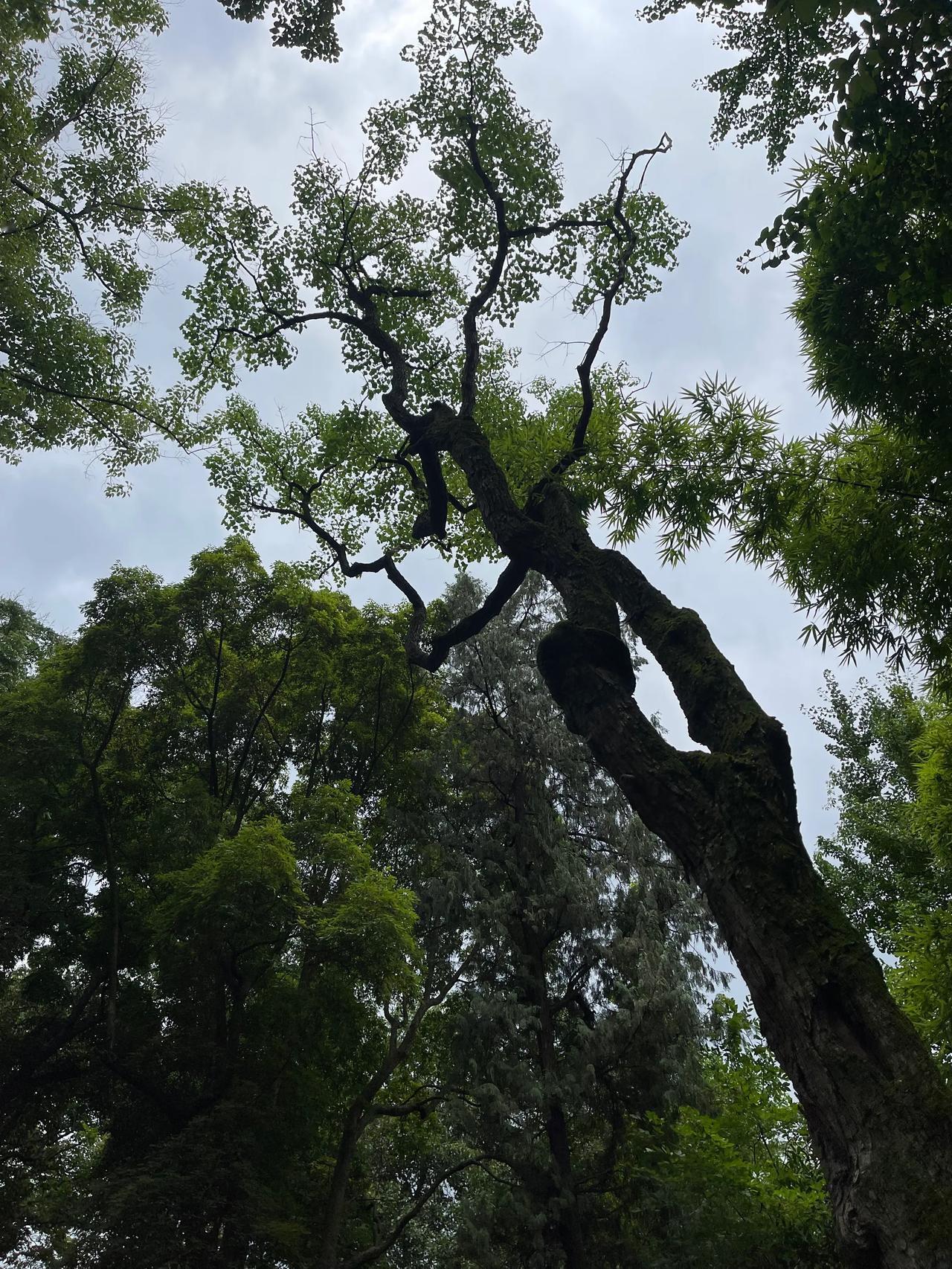 人总会有一怕吧？
天不怕地不怕，或许也终有一怕吧？
怕，又期望了解，求一法，远远