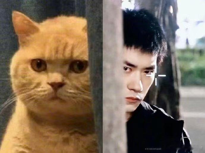 易烊千玺惊蛰无声最后一幕 惊蛰无声最后一幕，严迪在风雨中屹立。易烊千玺用演技赋予