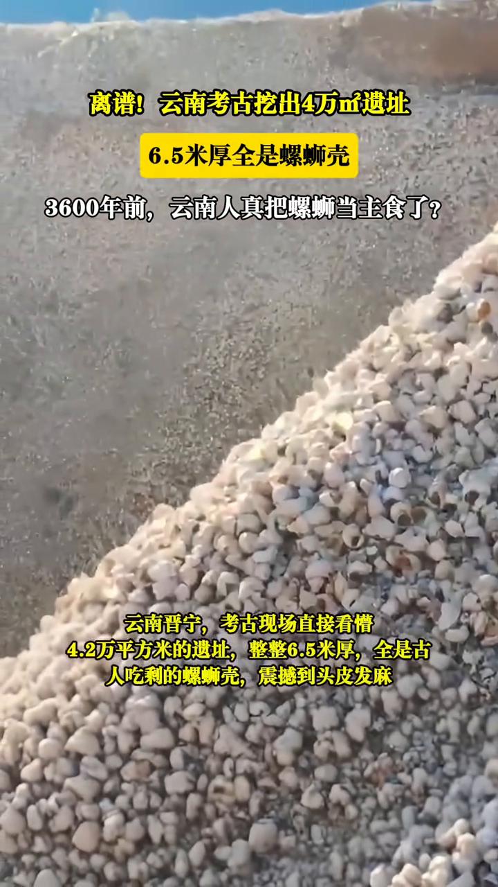 离谱！云南考古挖出4万m2遗址，6.5米厚全是螺蛳壳。
3600年前，云南人真把