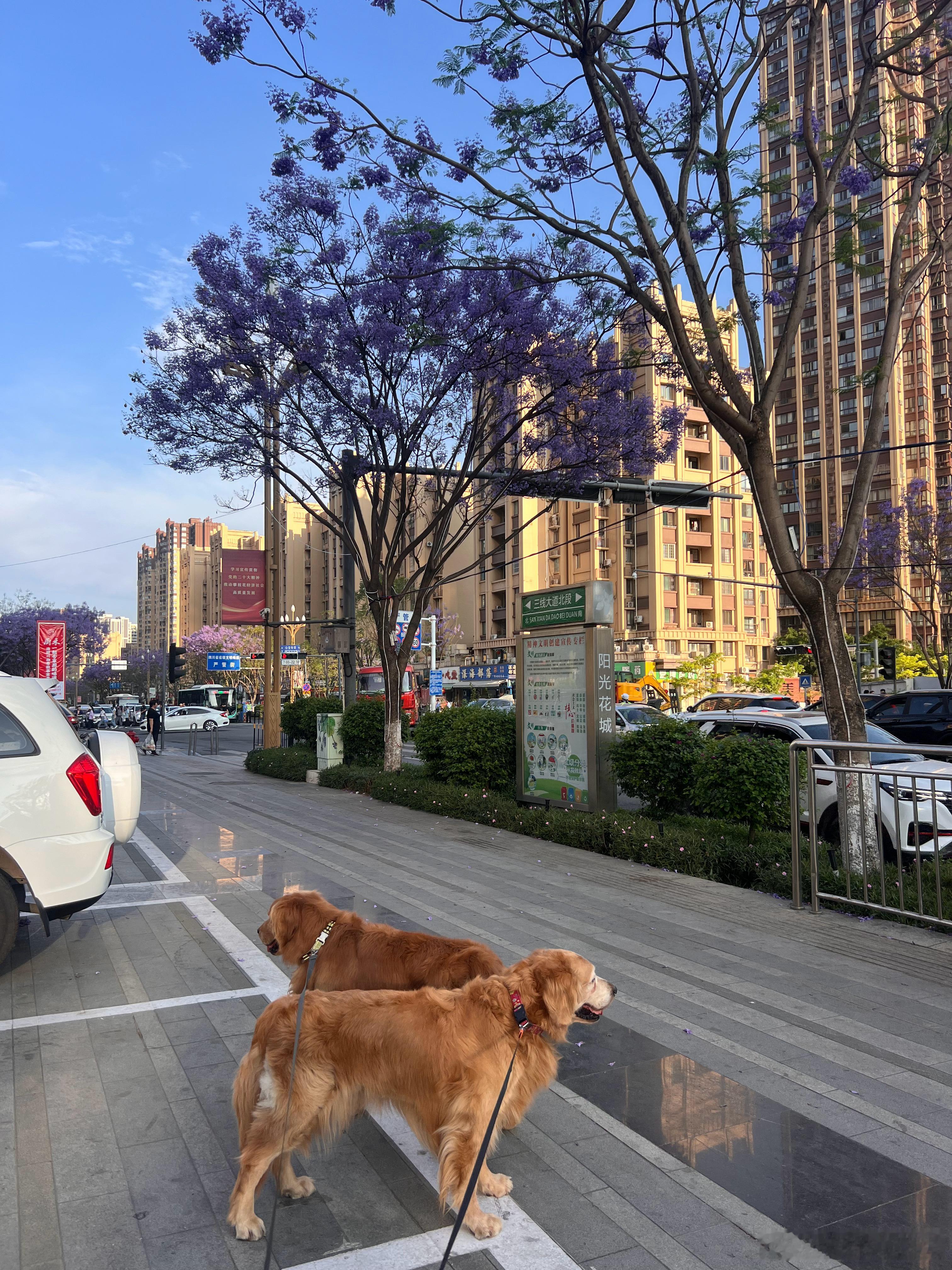 六个多小时的车程，我睡了一路，到家啦 ​​​