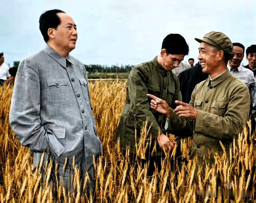 1960年5月11日，毛主席在河南郑州燕庄麦田视察。

毛主席在视察完燕庄后，并