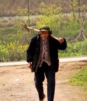 农村真是怪事多多？
大家发现了吗？
 
村里当过村支书的，好像真没几个埋头种地的