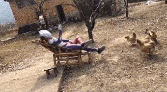 采菊东篱下，悠然见南山