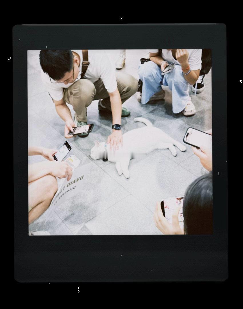 团宠今天格外慷慨😌 