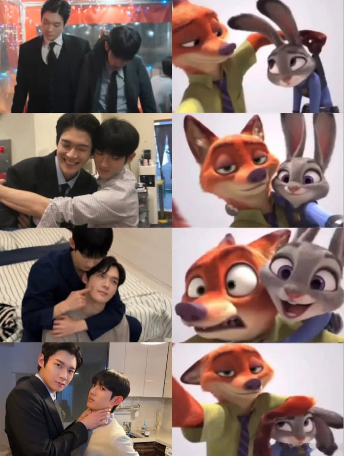 尼克狐尼克你被捕了🦊🐰 