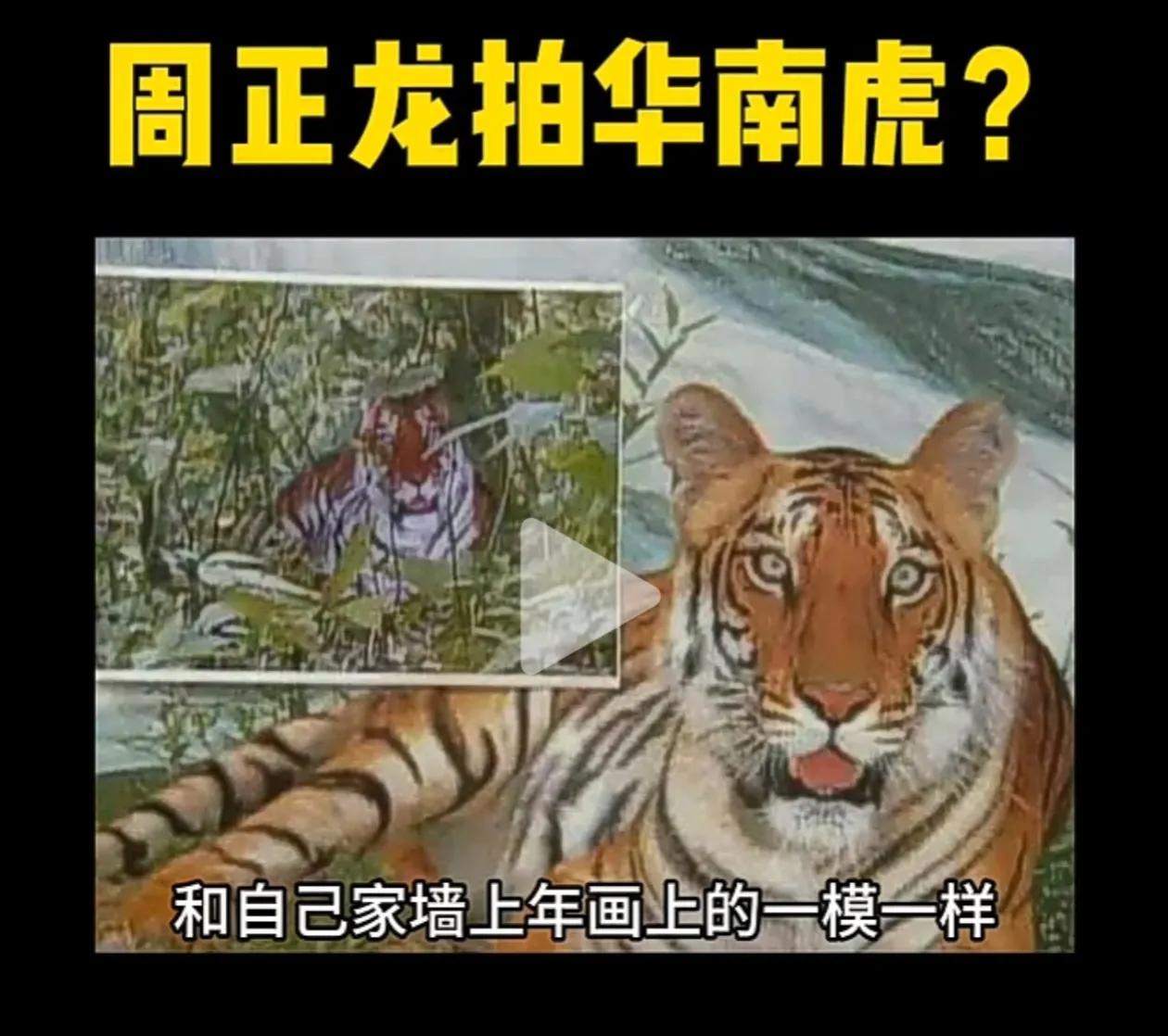 2008 年 6 月 29 日，陕西省政府召开新闻发布会正式公布：‌“华南虎照片