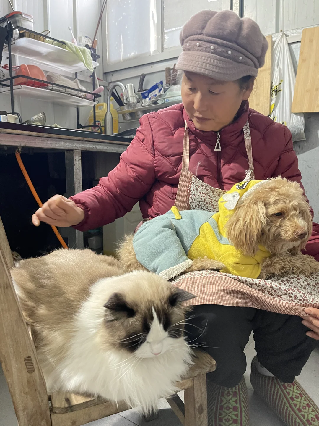 老妈说让我发网上能火🤣