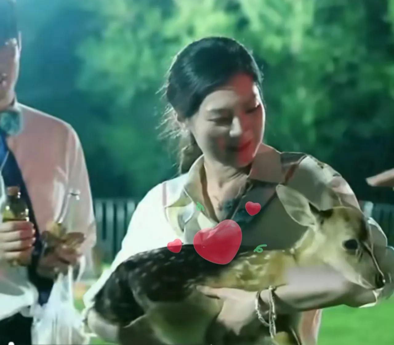许盼抱起幼鹿的样子好美！
与辉同行吉林行，去了鹿场，许盼把幼鹿抱了起来，这个画面