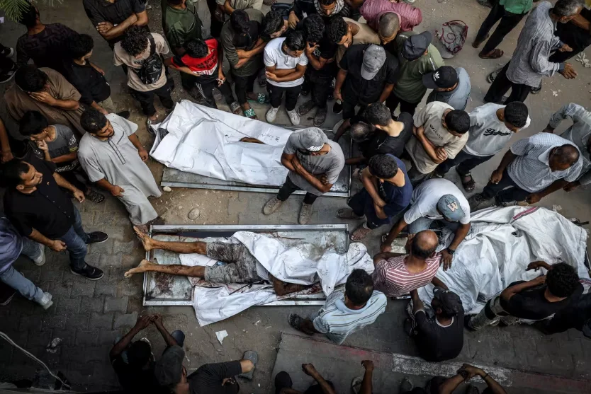 加沙人道危机，数百人因寻求援助遭袭死伤
