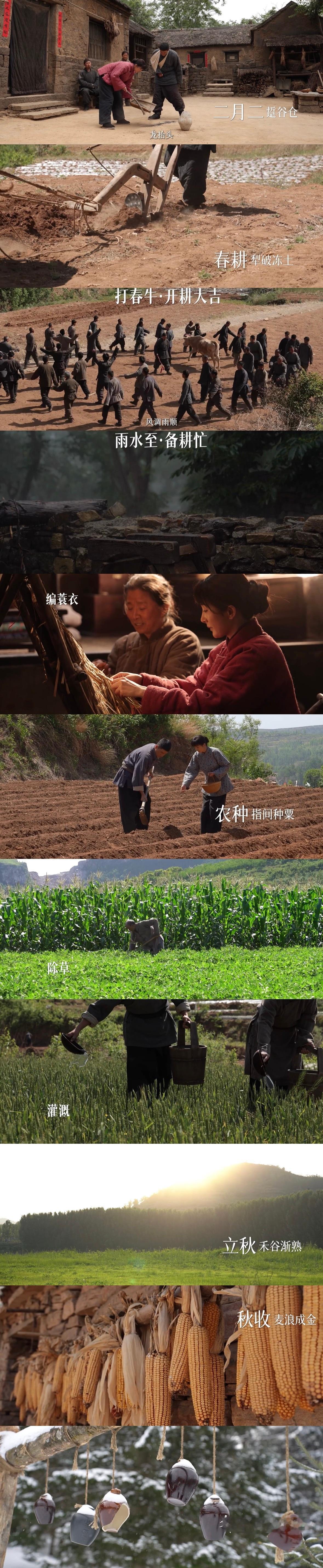 电视剧生万物[超话]杨幂宁绣绣 春耕、打春牛、备耕、编蓑衣、农种、除草、灌溉、立