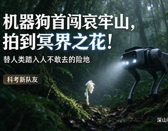 哀牢山拍到 “冥界之花”！机器狗第一次进山