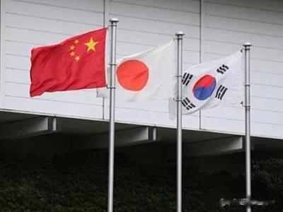 据日本共同社报道称，日韩首脑确认尽快重启中日韩对话的重要性。该报道引述多名外交消