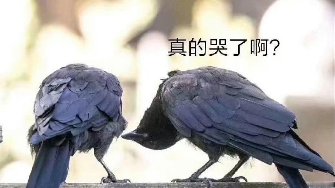 不知道区别是什么，少了桌子吗王俊凯中餐厅10