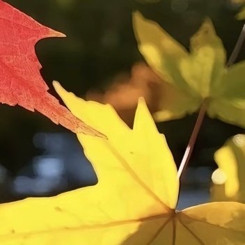 做从未做的事，叫成长;做不愿做的事，叫改变;做不敢做的事，叫突破。在学习中成长，