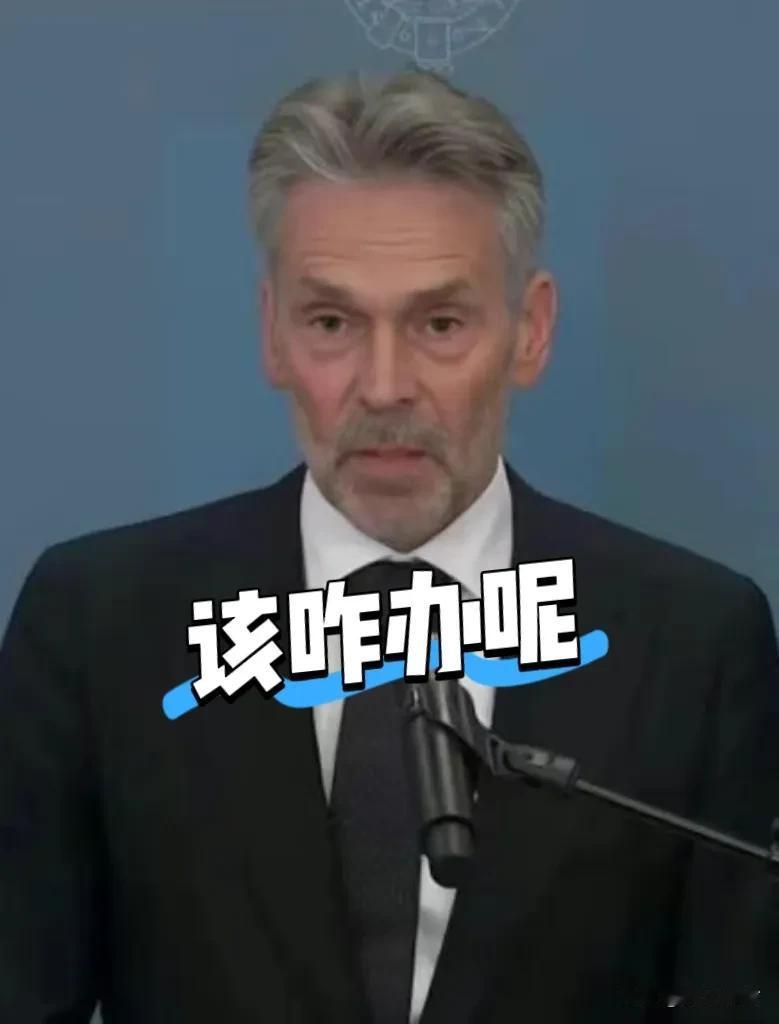 如果我国完全禁止稀土出口，那么哪些国家的哪些行业将首当其冲，遭受灭顶之灾?