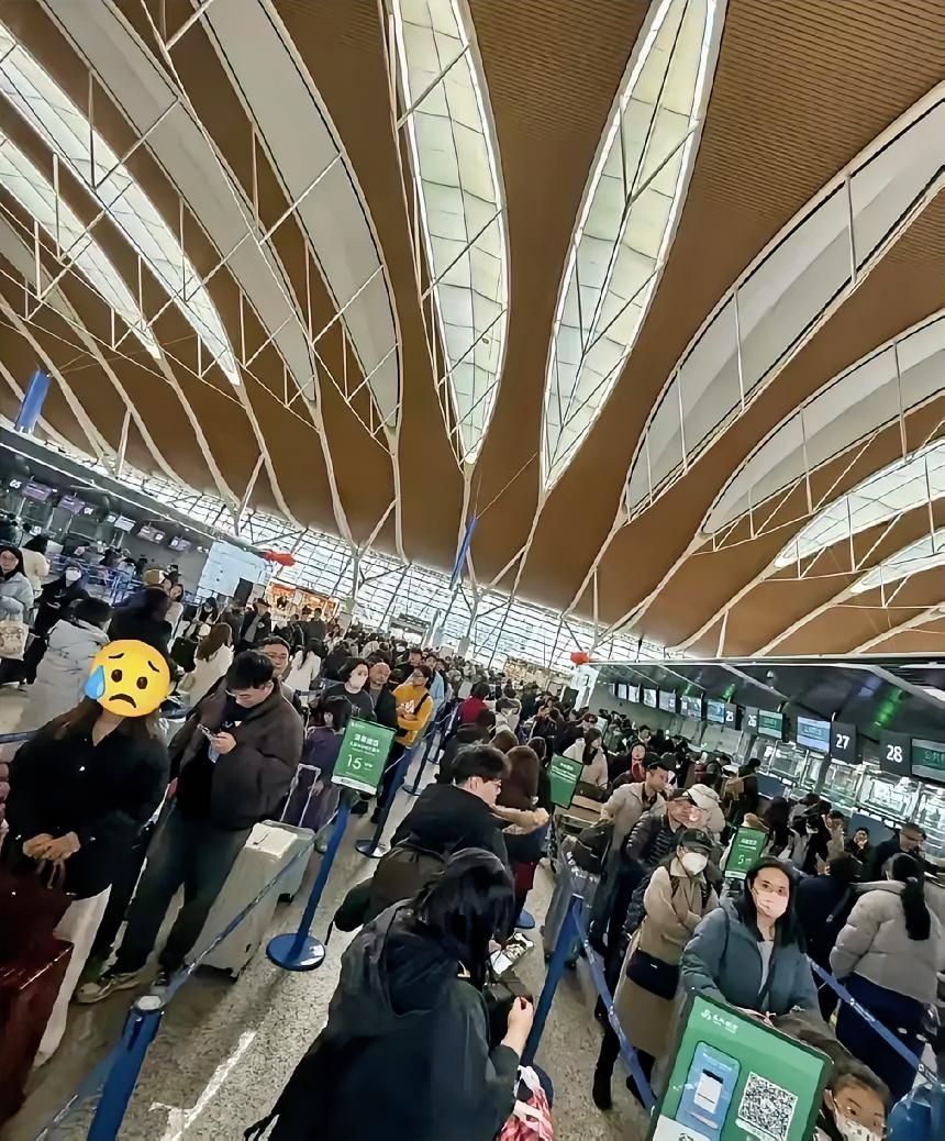 12万日本人扎根中国：不走不是没选择，是中国让他们舍不得！
 
在中国的日本人，