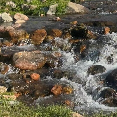 0000见过花开就好了，何必在意花落谁家，又何必在意为谁而开，至少有一刻你闻到了