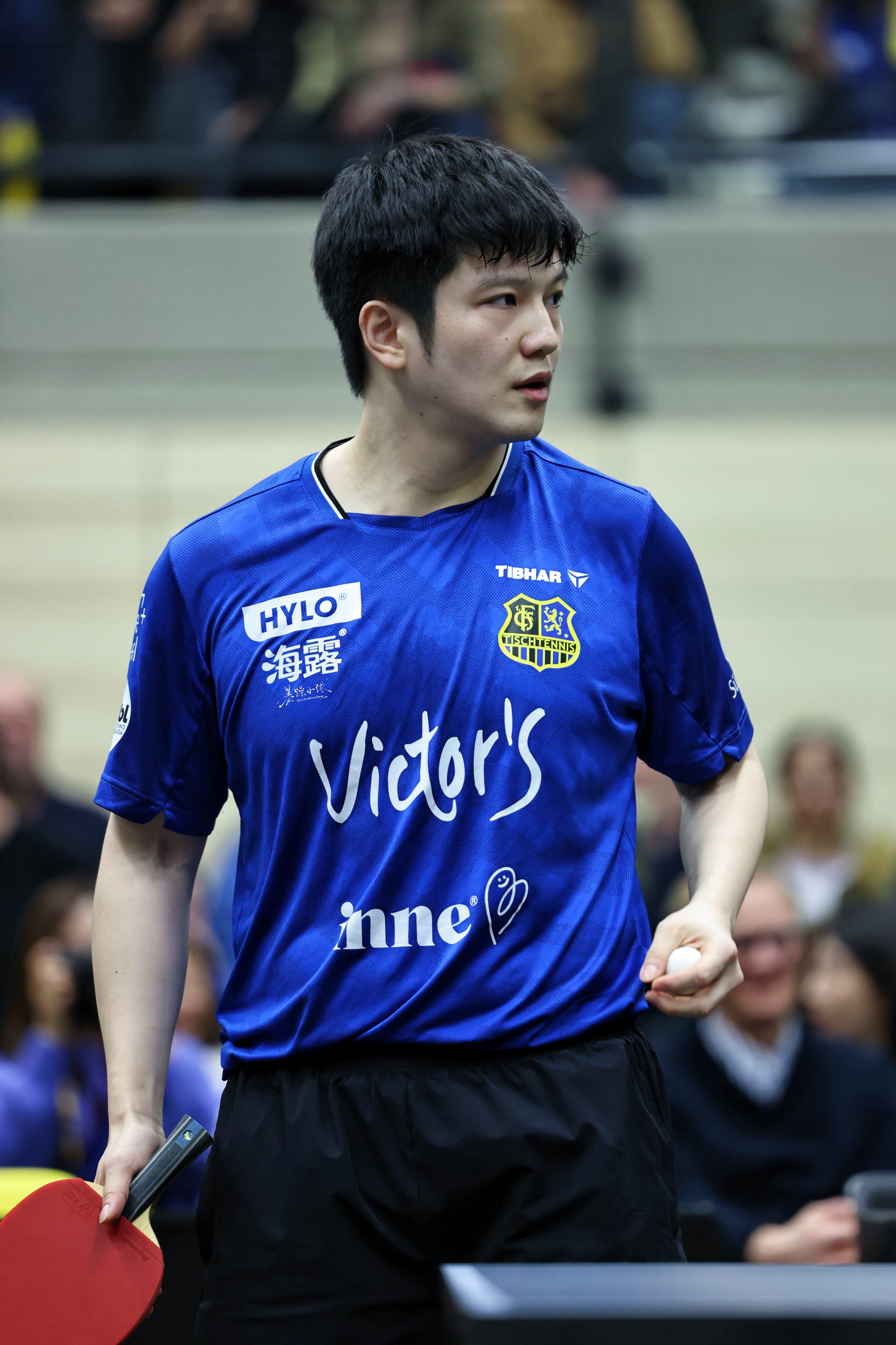 我知道你们也想他了 我也想樊振东