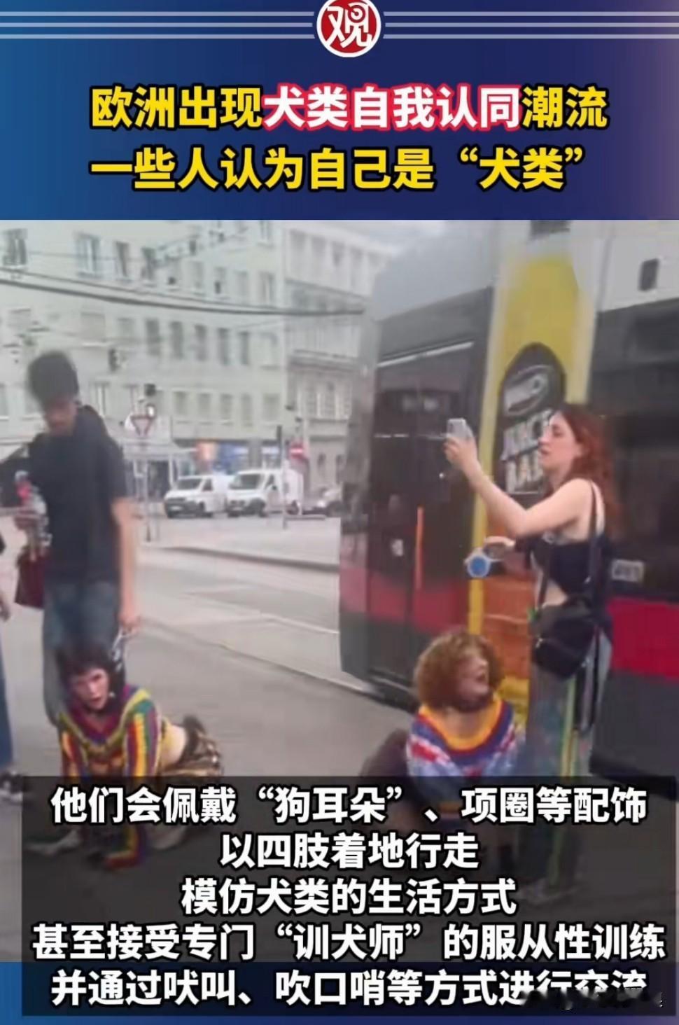 不做人去做狗，还得找个训犬师管自己，脖子上装个狗链子被牵着，一时之间，你都不知道