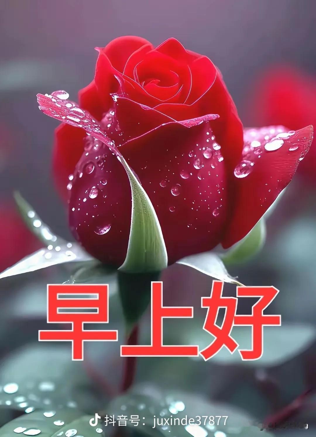 亲爱的
爱你一场
痛我一生
你是我刻骨铭心的挚爱
也是我久处不厌的知己
感谢你一