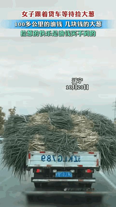 这么大的葱，
是要做山东卷饼吗？