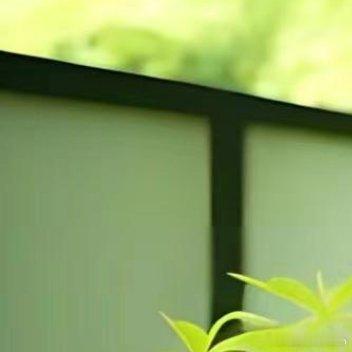 #熊猫守护者[超话]#[送花花]#阳光信用# [送花花]#每日一善# 没有完美的