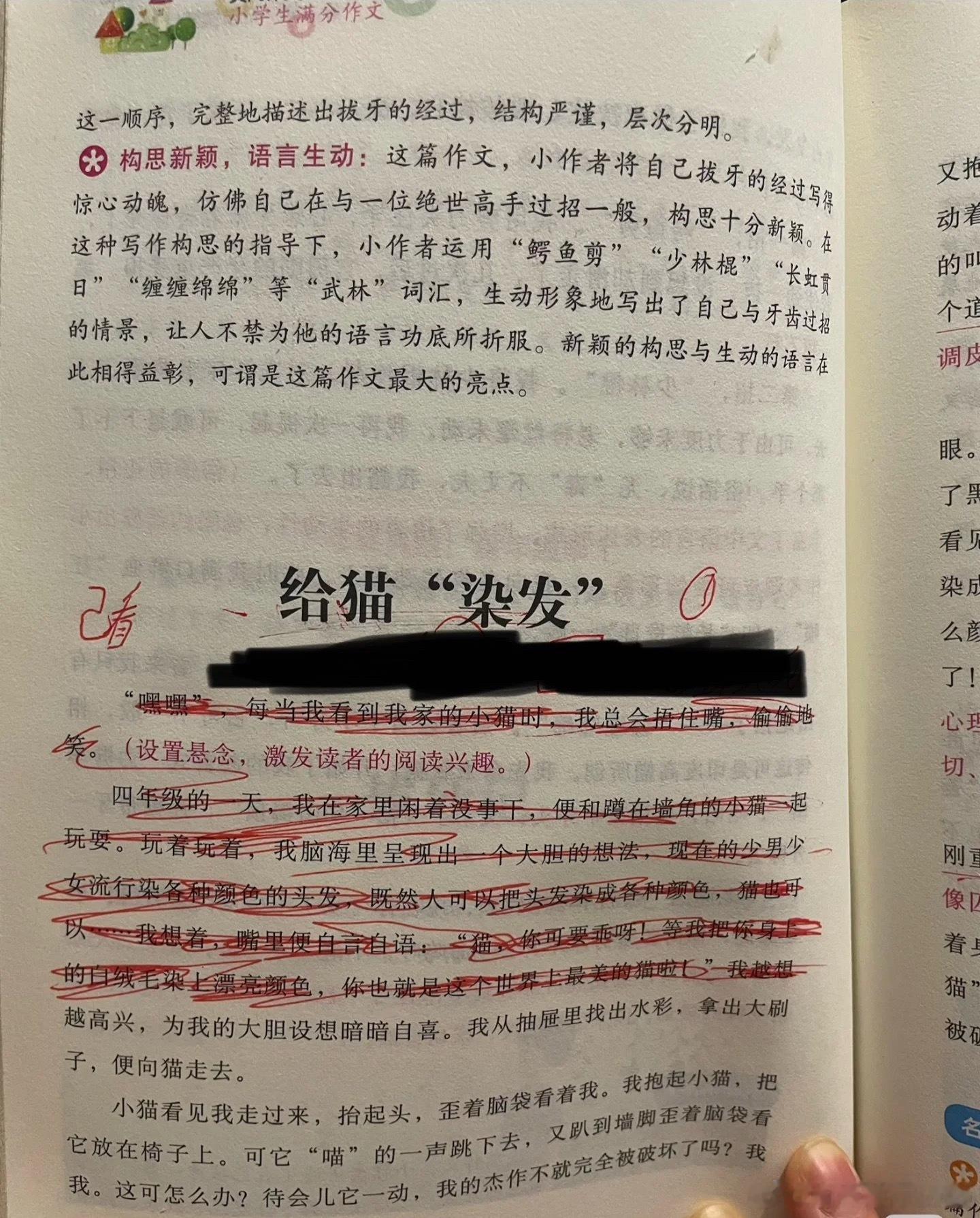 小学生满分作文给猫染发引家长担忧一篇描写给宠物猫染发的小学生作文拿到满分，引发不