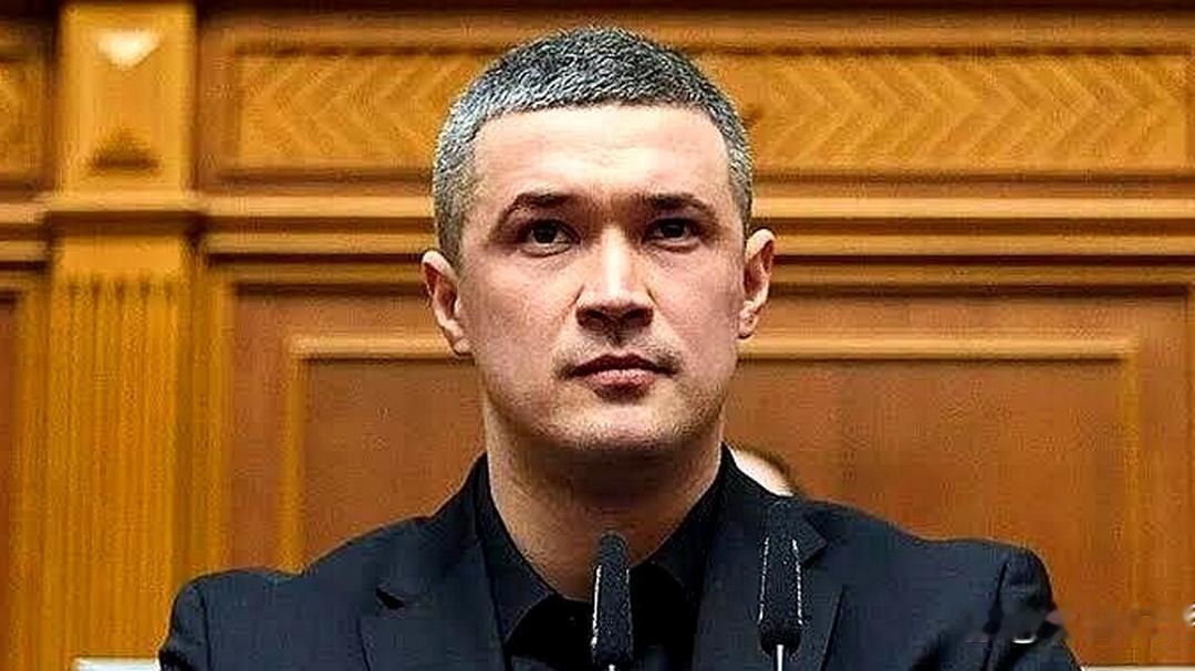 想想，泽连斯基也不可能恢复费多洛夫国防部长职位的…

一：不能因街头抗议，就恢复