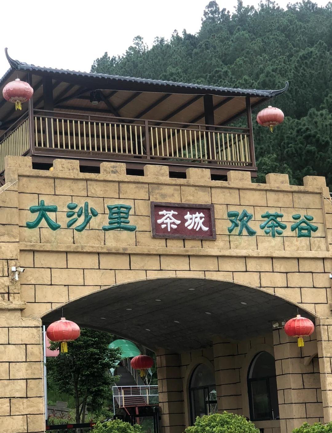 江门开平大沙里欢茶谷｜千亩茶园+玩水采摘一站式度假

江门开平大沙里欢茶谷，50