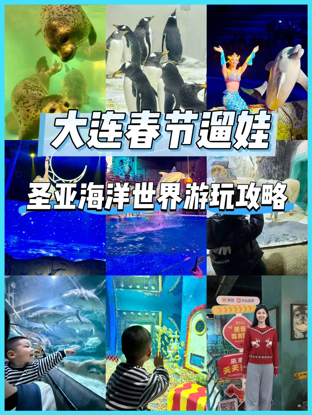 寒假遛娃首选！大连圣亚真的玩不腻