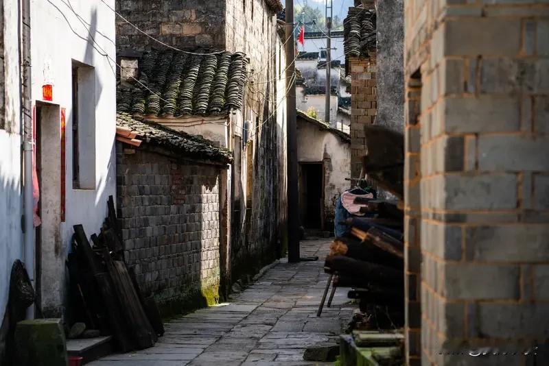 北郊的老路上
不见了街边熟悉的店铺
只剩下孤独的楼宇，斑驳的树影
路灯把我的影子