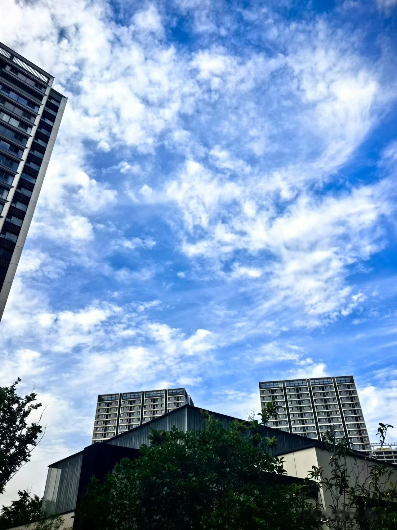 相册里最满意的照片东边日出西边雨，道是无晴却有晴