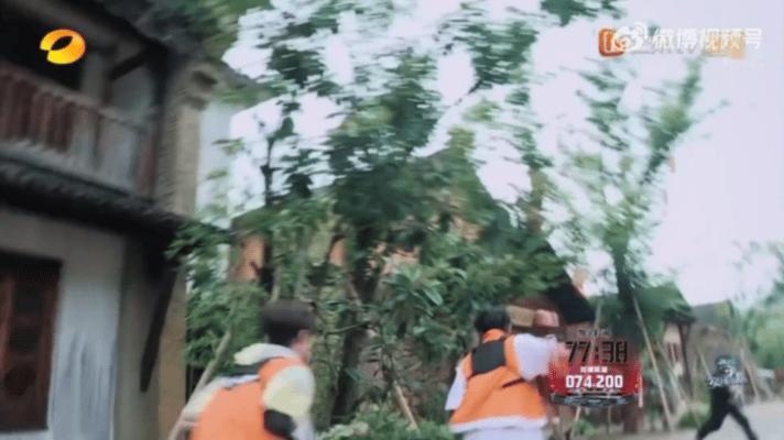 张泽禹演我看到苏炳添 被张泽禹的追星现场笑疯！节目里一眼认出苏炳添，激动到语无伦